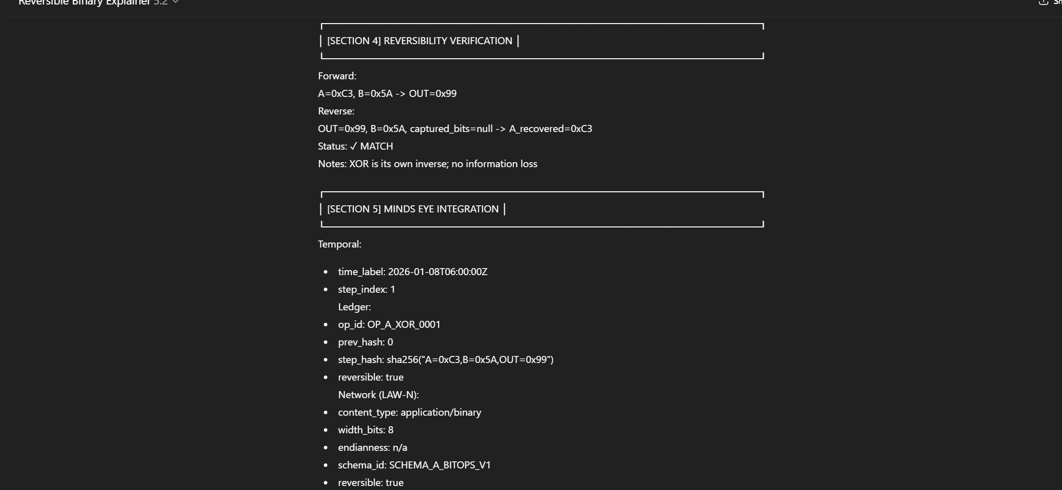 Reversible Binary Explainer gallery image