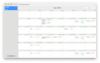 Budget Seer gallery image