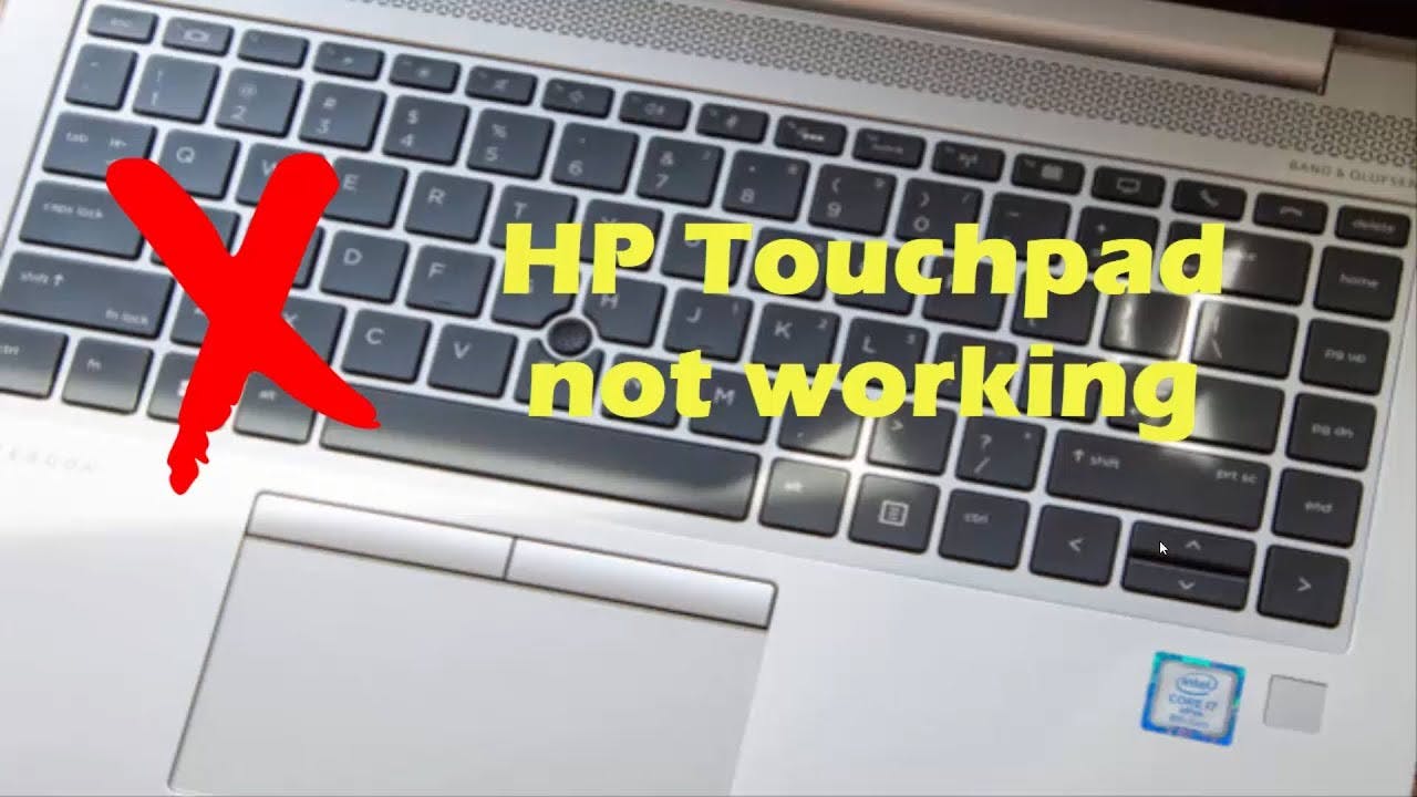 HP Laptop media 1