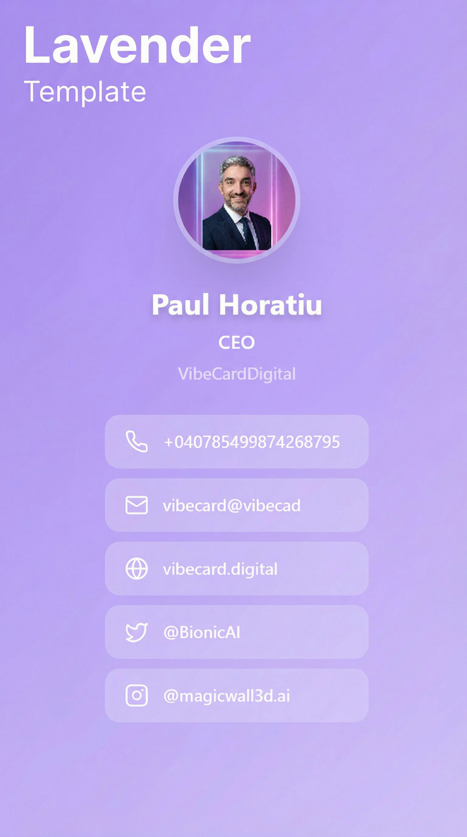 Just launched → VibeCard Lifetime Deal - Screenshot 4 showing product features and functionality