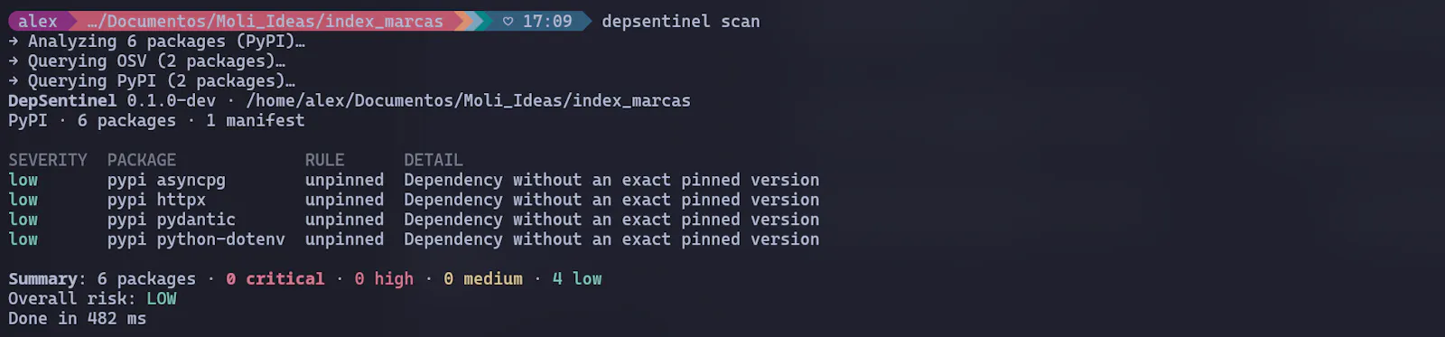 DepSentinel screenshot 1