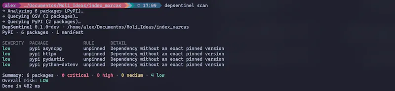 DepSentinel screenshot 1