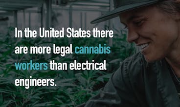 Herbcareer gallery image