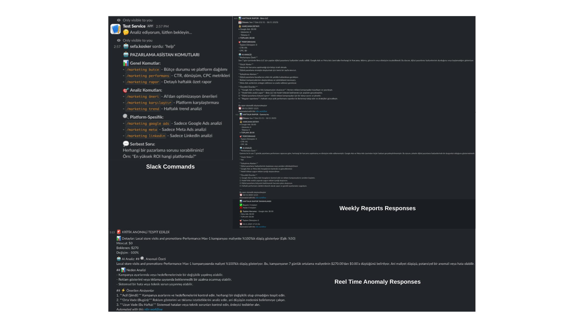 Marketing Automation Suite gallery image