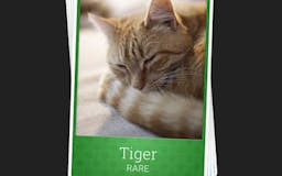 Kitten Cards - The Cat Trading Card Game media 2