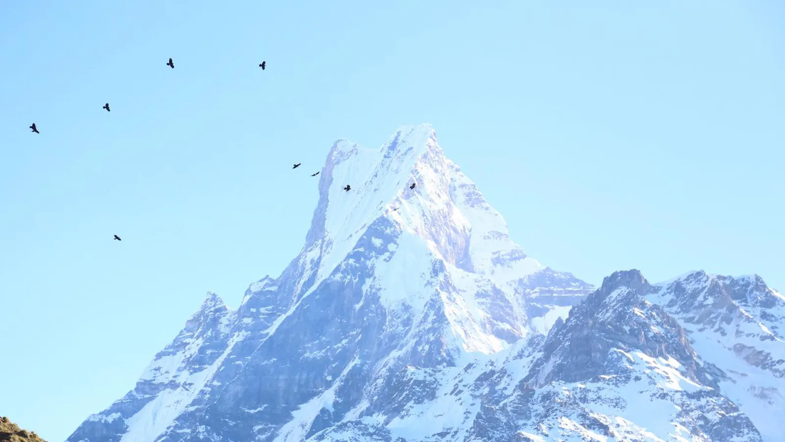 Majestic Trails Nepal screenshot 1