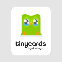 Tinycards-to-Kartka migration tool