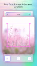 PixyTrim - Perfect Photo Editor gallery image