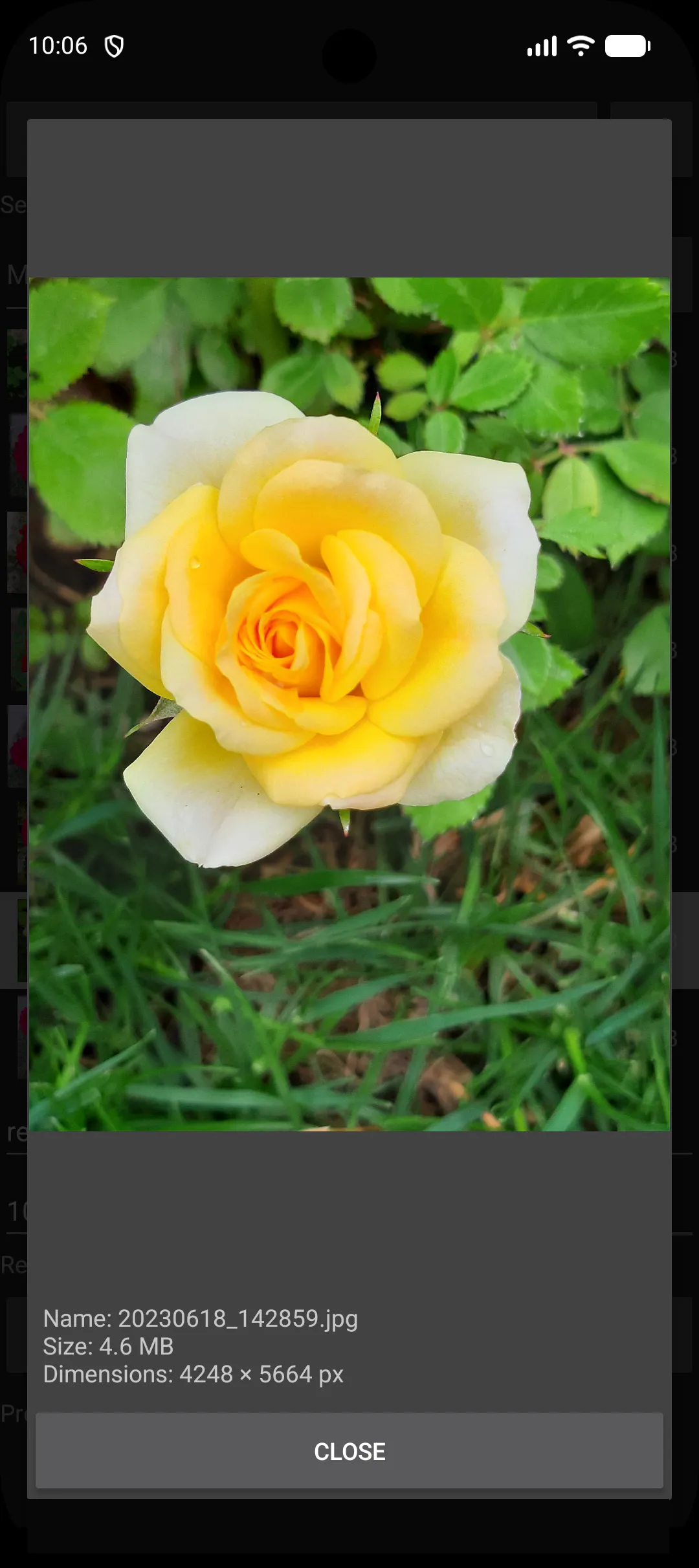 Offline Batch Photo Resizer for Android gallery image