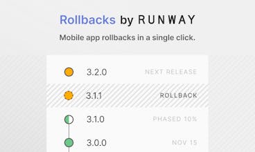 Runway (runway.team) gallery image