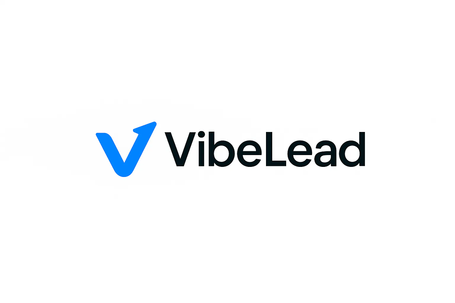 VibeLead gallery image