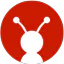 REPORT INTELLIGENCE AI ACCELERATOR