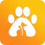 Pet Wall