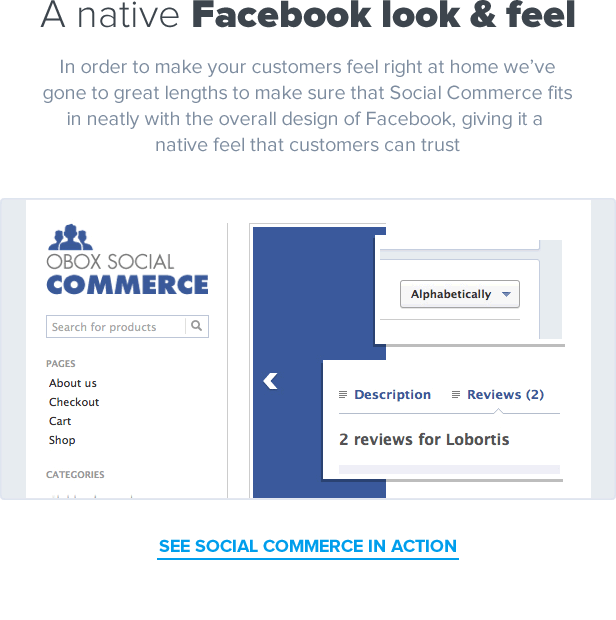 Social Commerce - Seamless WooCommerce and Facebook Integration gallery image