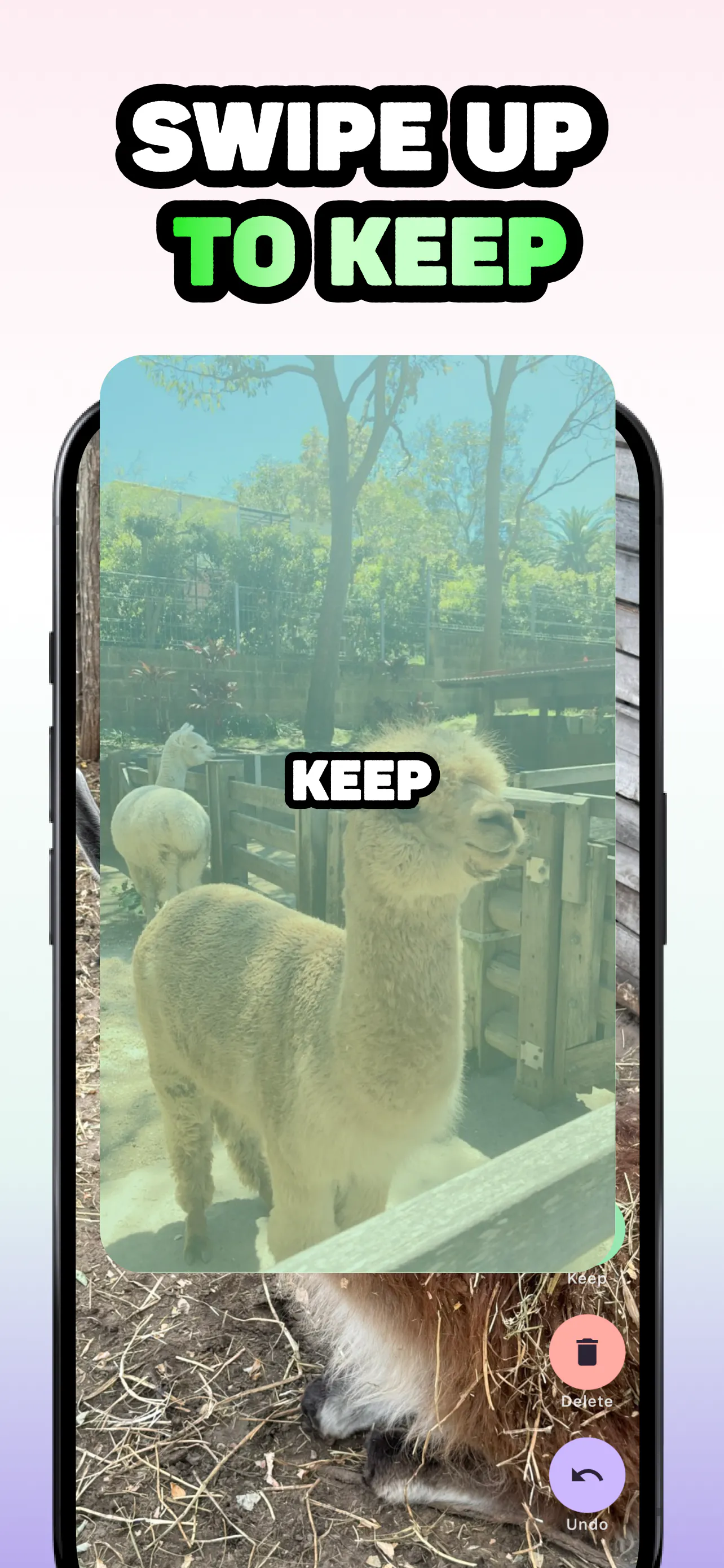 SwipeGallery - TikTok for Photos gallery image