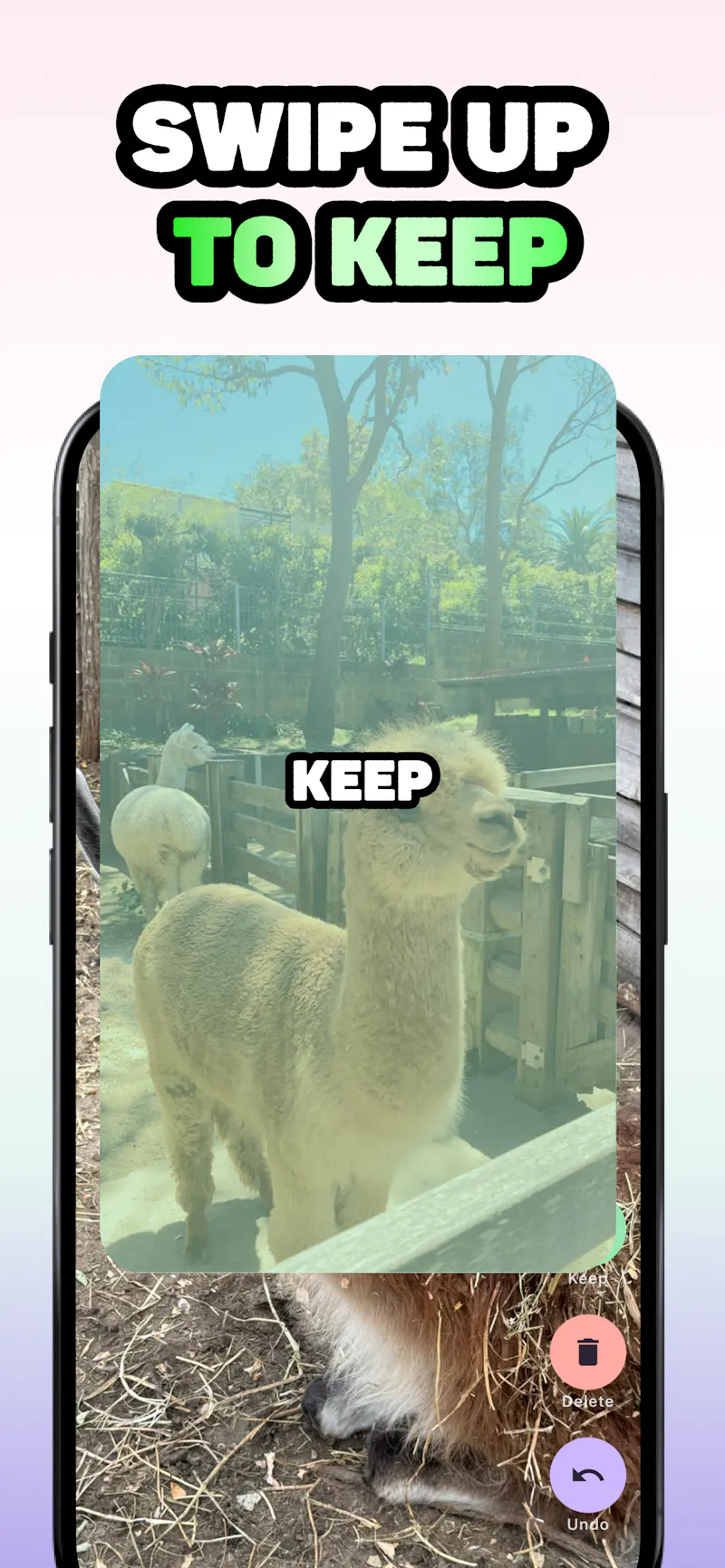 SwipeGallery - TikTok for Photos screenshot 3