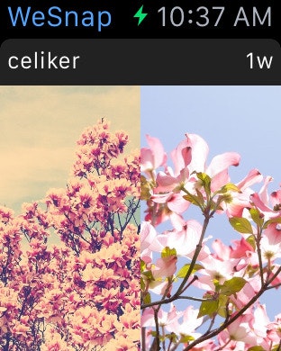 WeSnap gallery image