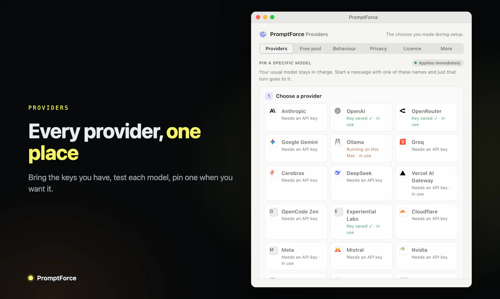 PromptForce screenshot 4