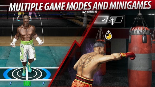 Real Boxing 2 CREED gallery image