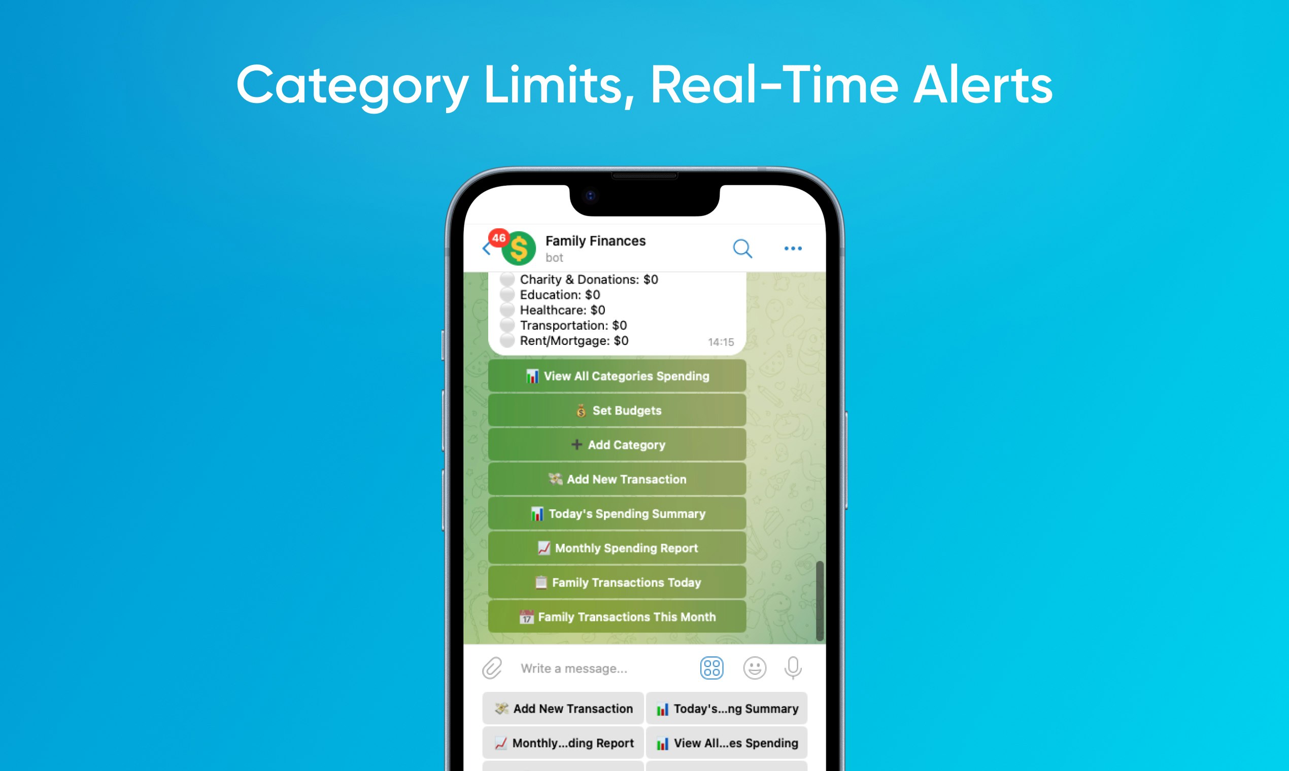 Family Finance Tracking Bot gallery image