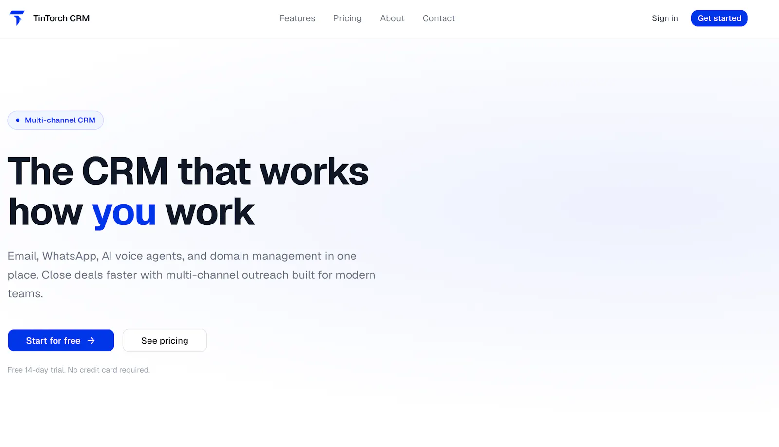 TinTorch screenshot 1
