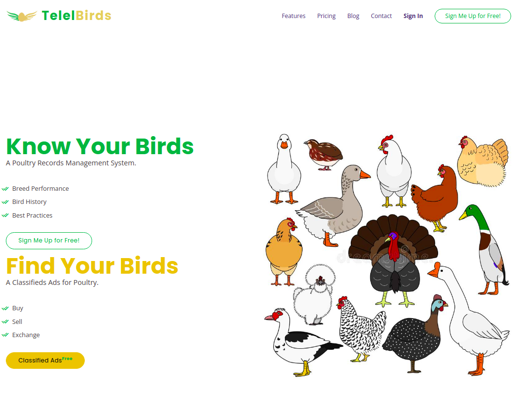 TelelBirds