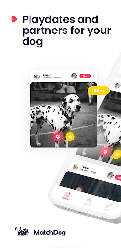 Matchdog gallery image