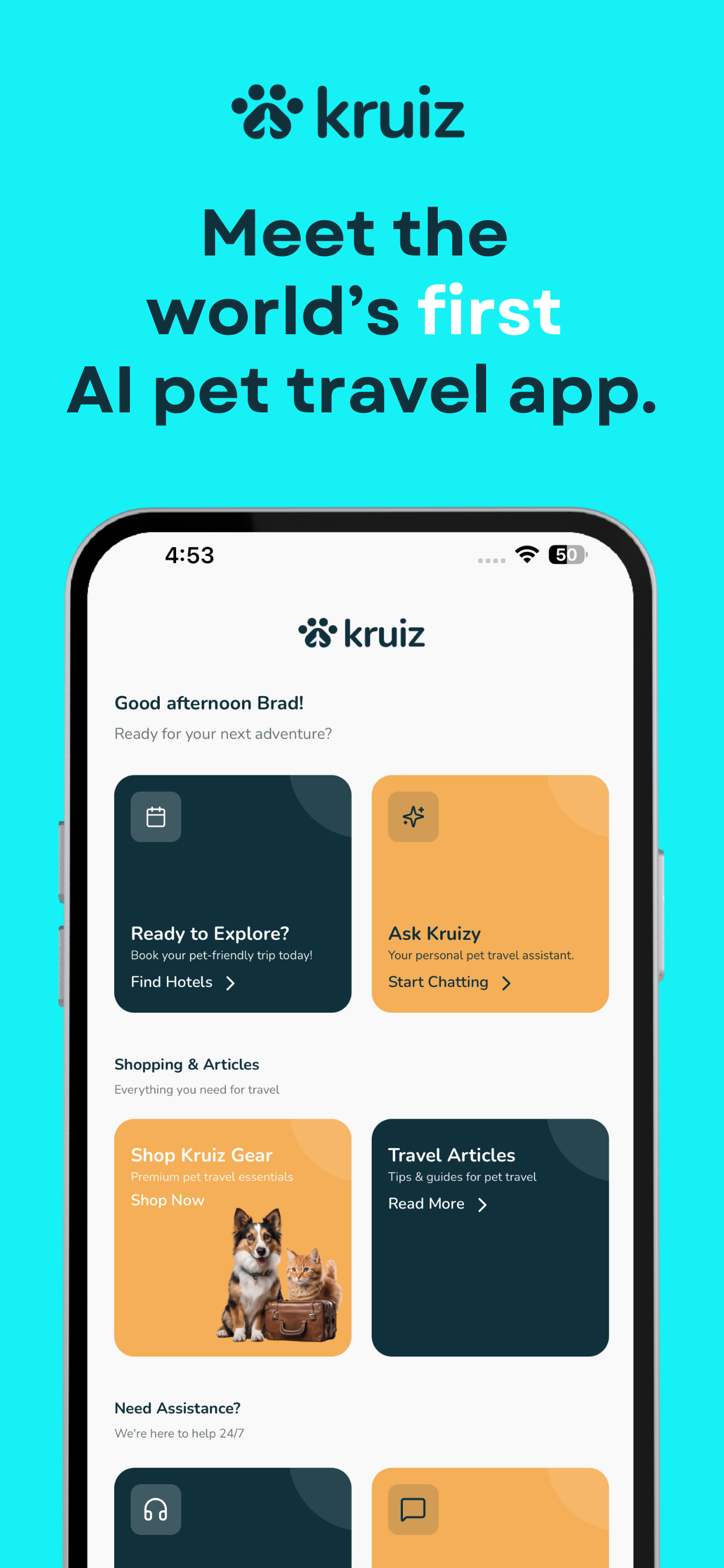 Kruiz - Main screenshot showing features and interface