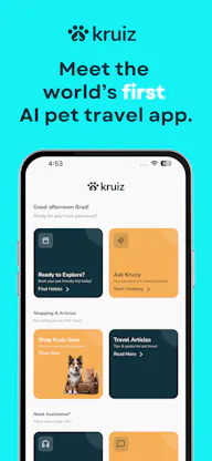 Kruiz
