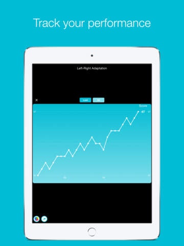 Wunderbrain gallery image