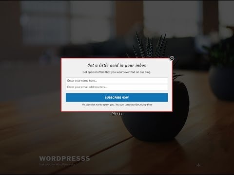 MailOptin gallery image