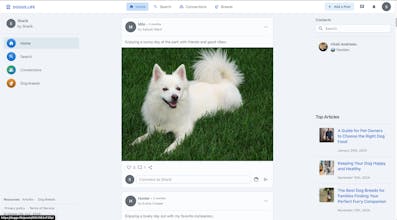 Doggs.Life gallery image