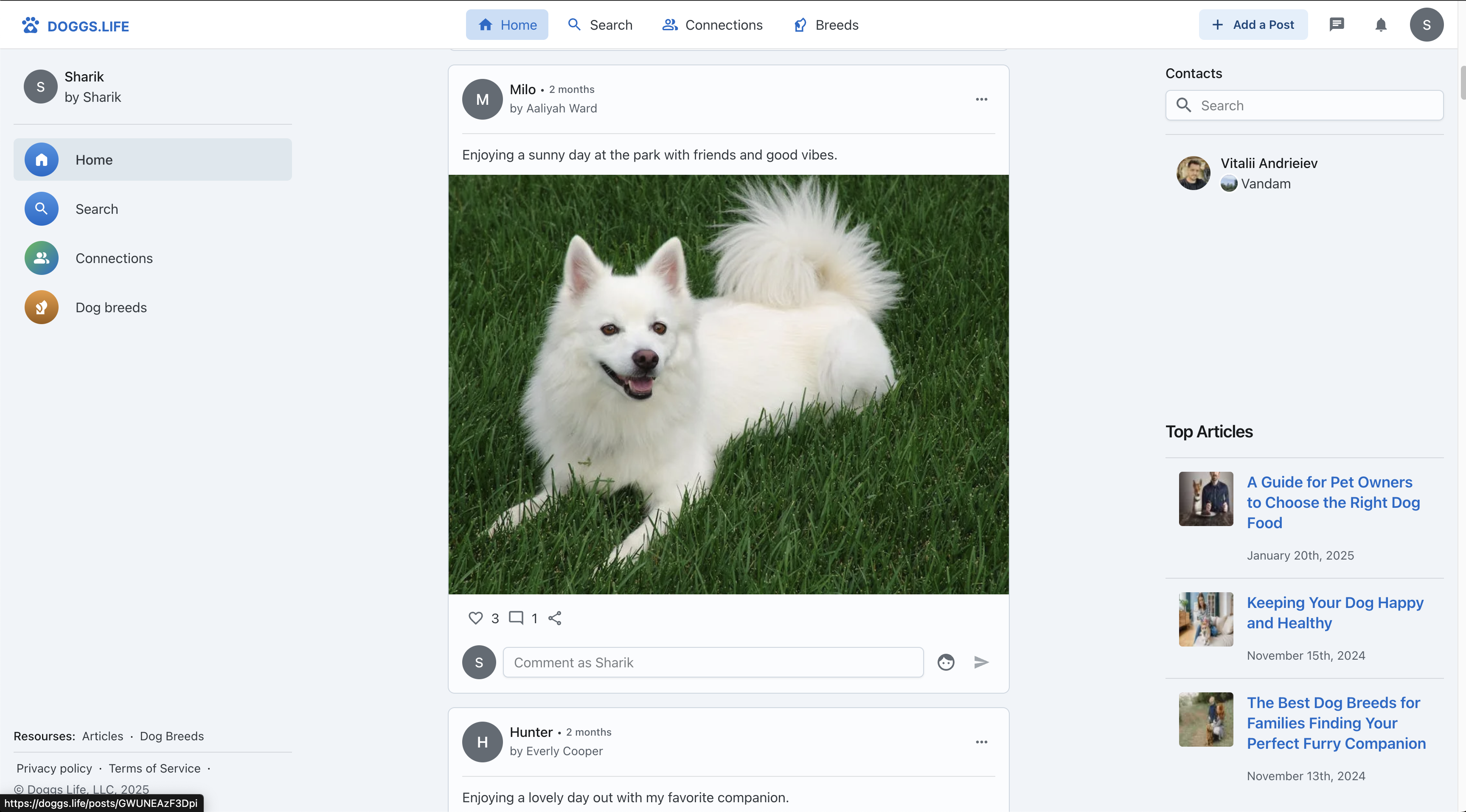 Doggs.Life - Social network for dog lovers - share, connect, explore. media 5