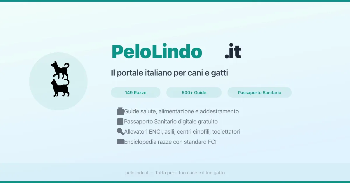 PeloLindo gallery image
