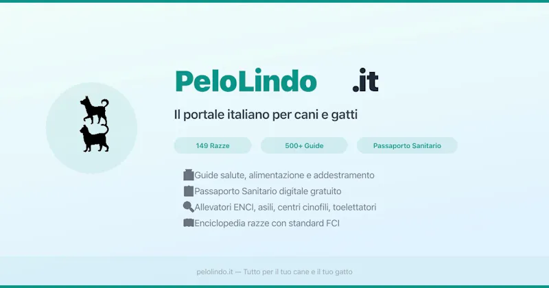 PeloLindo screenshot 1