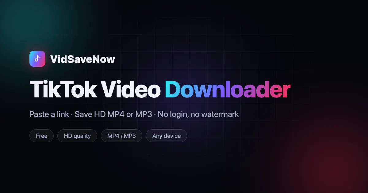 VidSaveNow gallery image