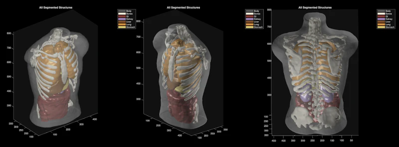 Midjourney Scanner screenshot 4