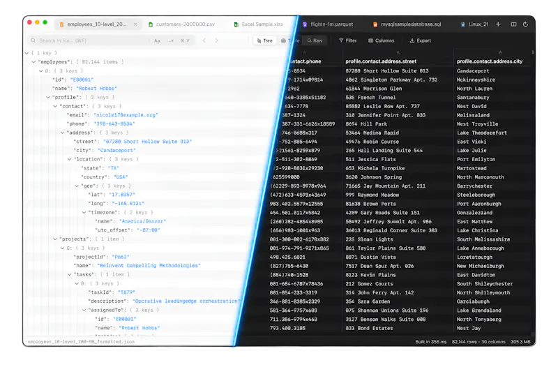 JSONJet screenshot 2