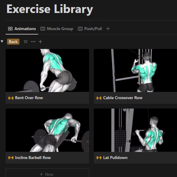 Begriff Fitness OS