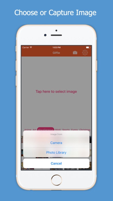 Giffie gallery image