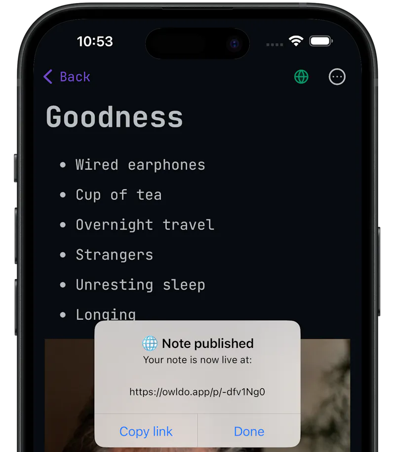 Owldo: Your second brain, made public screenshot 1