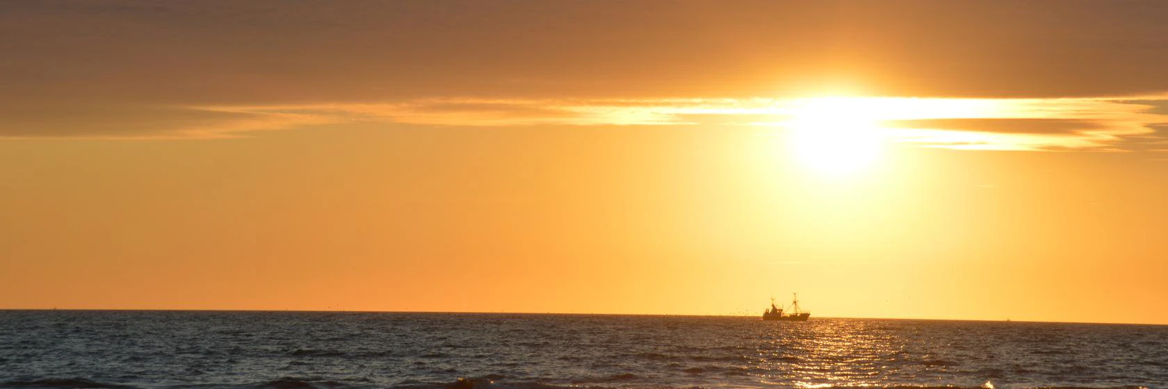 Sebastian A. Steins cover