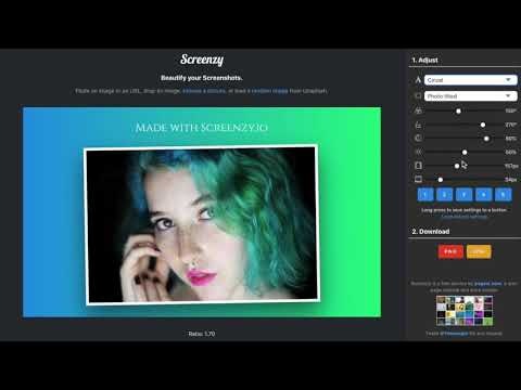 Screenzy gallery image