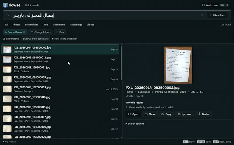 Dowse screenshot 4