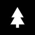 Pines