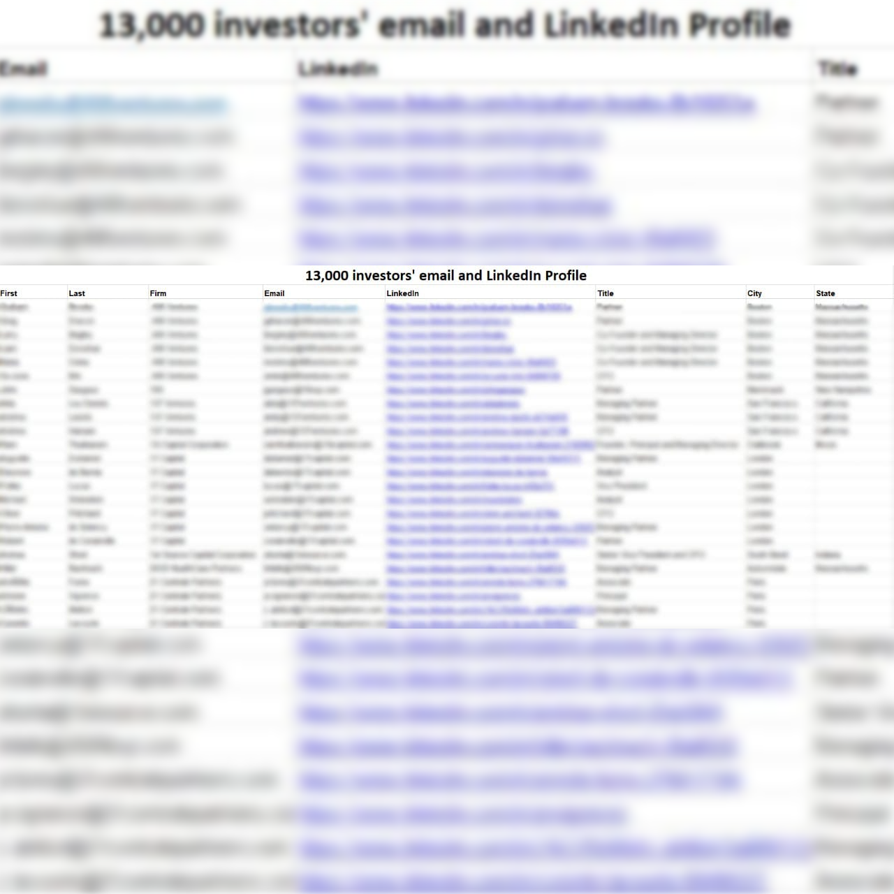 13,000 Investors email database