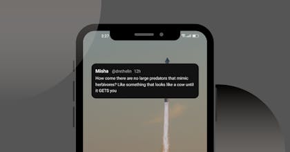 X Widget for Twitter gallery image