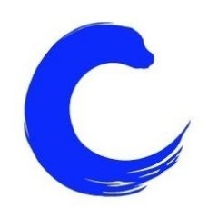 Bias Correct Logo
