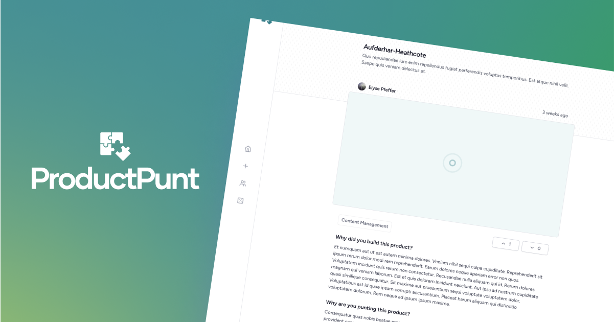 Product Punt gallery image