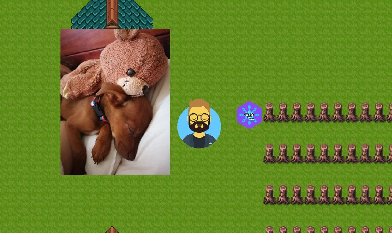 The Vibes gallery image